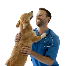 Veterinary