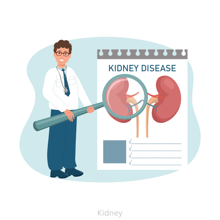 Kidney Disease